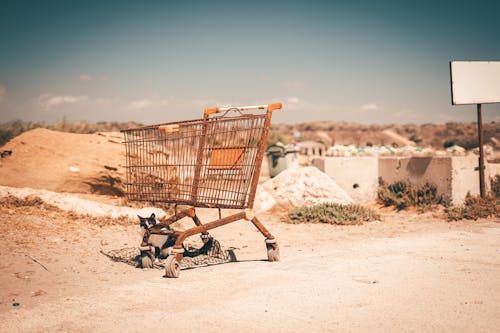 Kostenloses Stock Foto zu auto, einkaufswagen, rostig