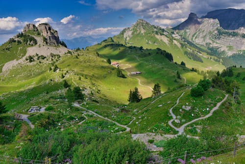 Fotos de stock gratuitas de Alpes, alta altitud, césped verde