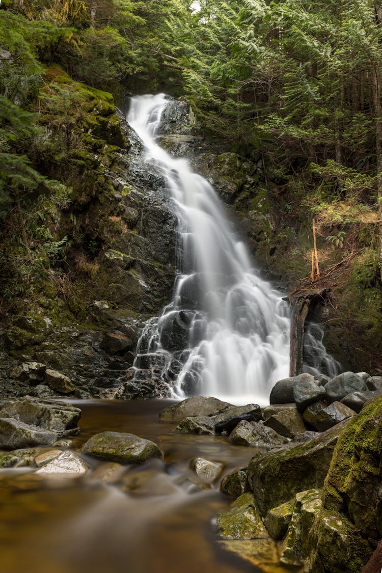 Waterfall In Wild Forest Landscape