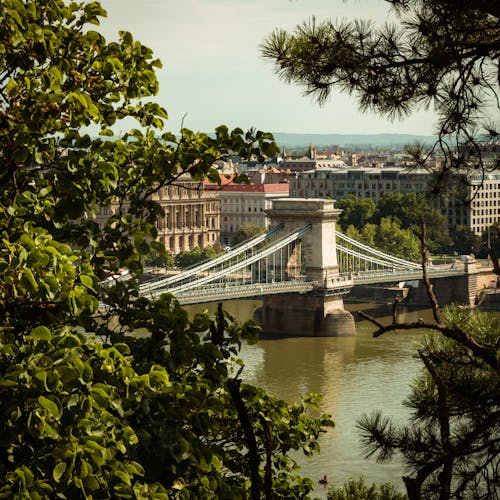 бесплатная Бесплатное стоковое фото с архитектура, Будапешт, венгрия Стоковое фото