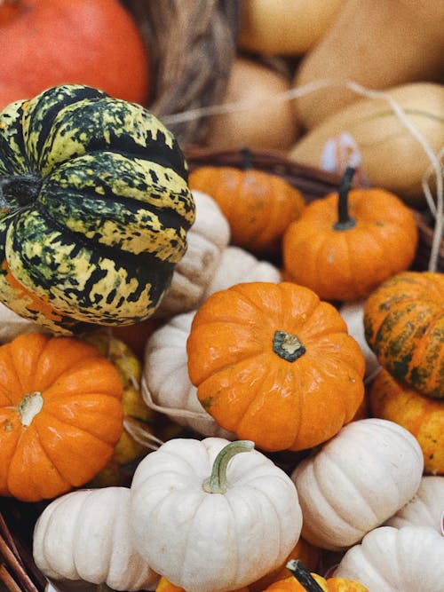 Orange and White Pumpkins