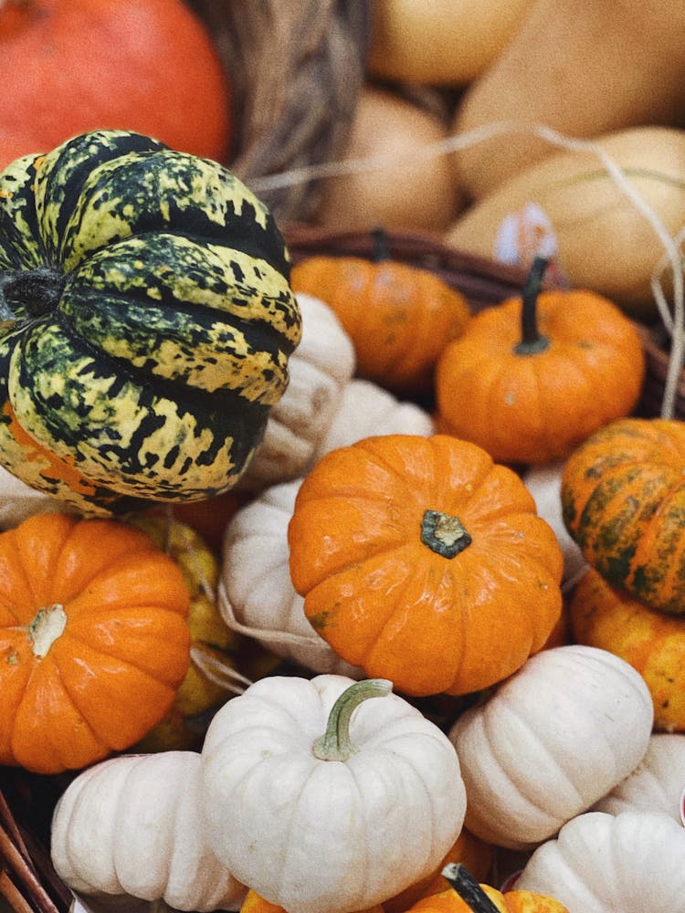 Orange And White Pumpkins