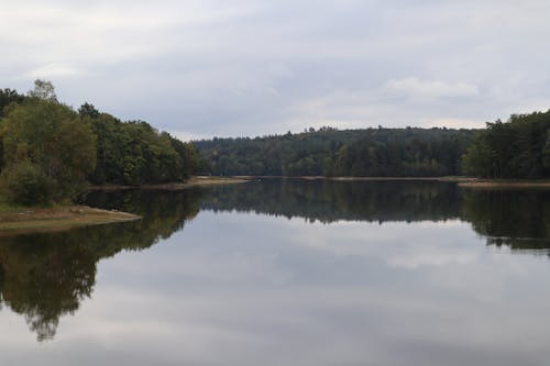 Kostenloses Stock Foto zu bäume, fluss, gewässer