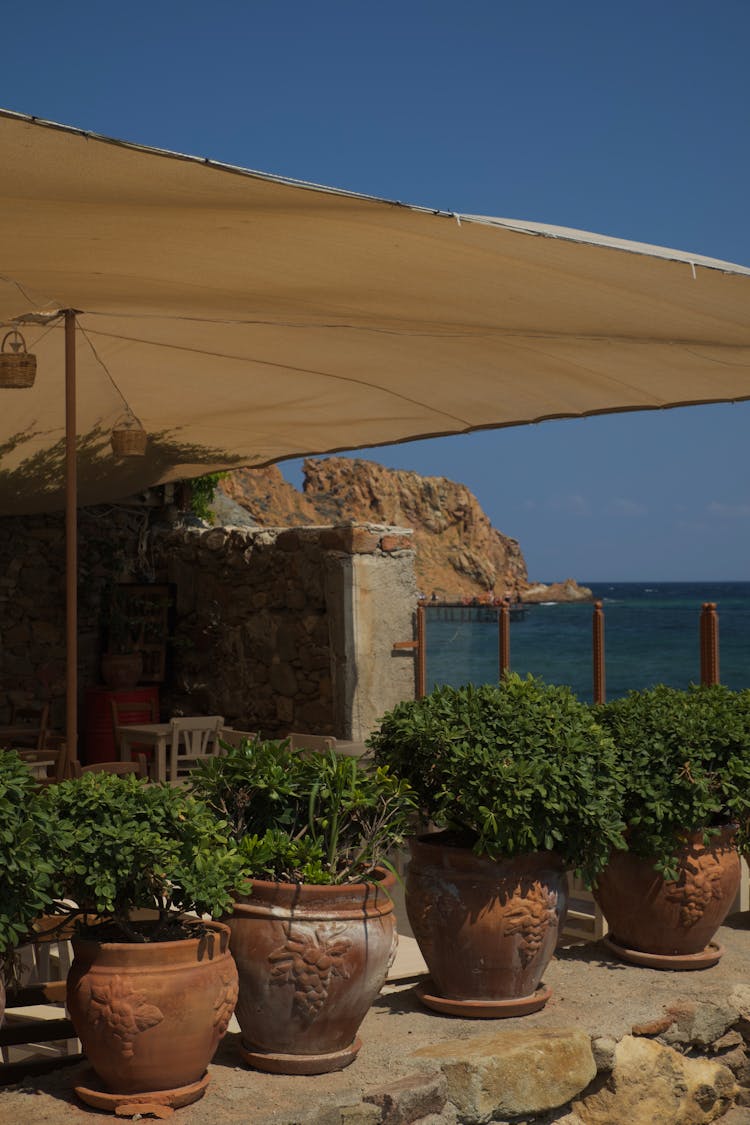 Patio Overlooking Sea