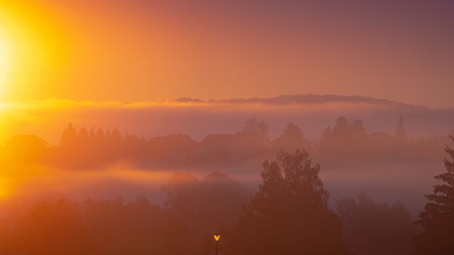 Can Homeschoolers Get Into College? The Honest Answer