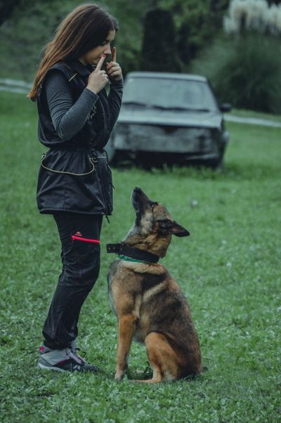 Certified trainer conducting an outdoor obedience session
