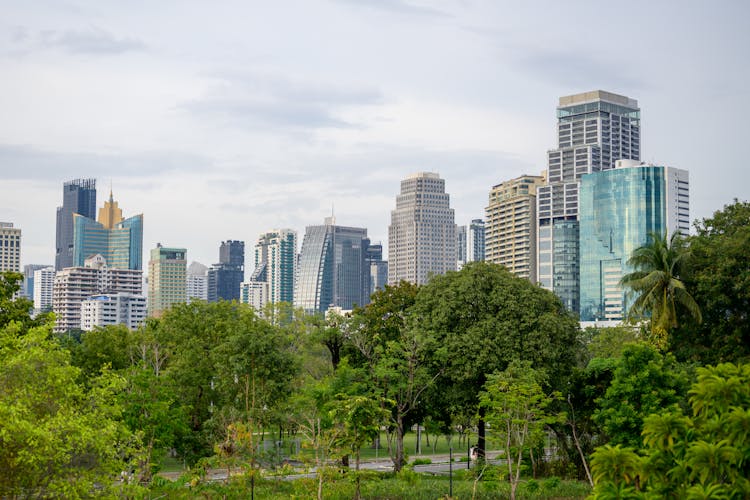 Urban Park And A Skyline