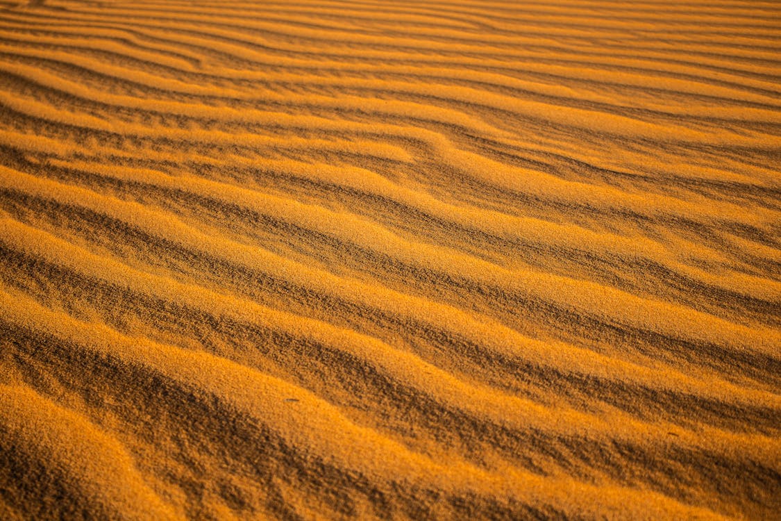 Close Up Shot of Brown Sand