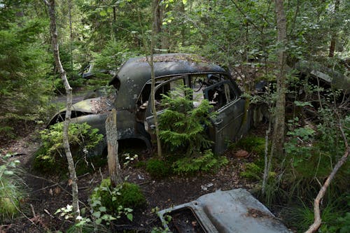 Foto profissional grátis de abandonado, arrasado, automóvel