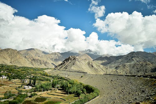 Leh City