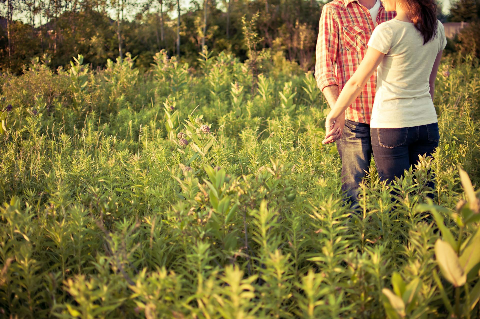 A couple embraces in a sunlit meadow, symbolizing love and togetherness in nature.