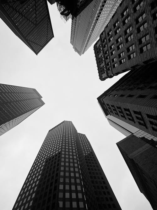 Free Low Angle Photo of High Rise Buildings in Grayscale Stock Photo
