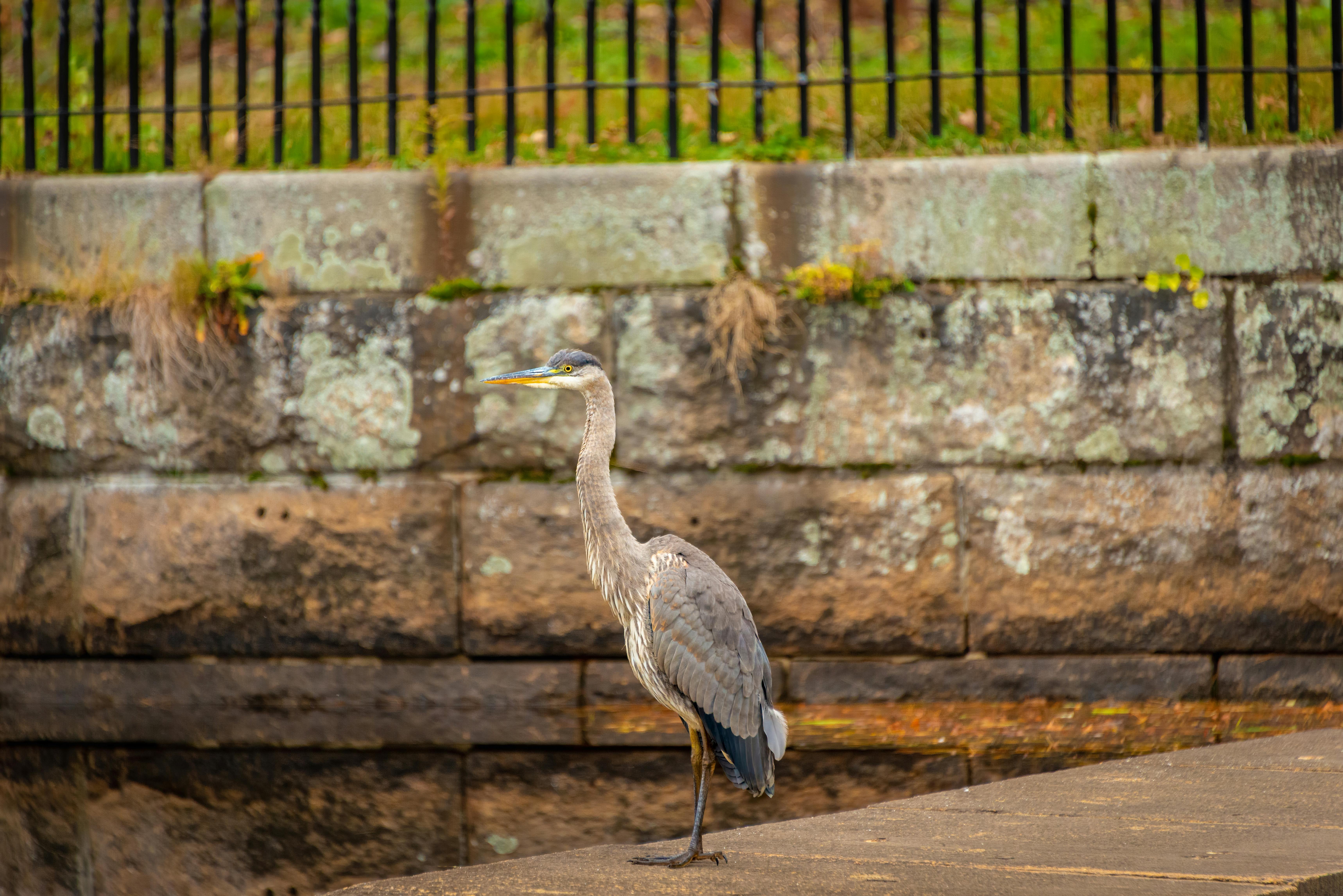 Southborough cityscape