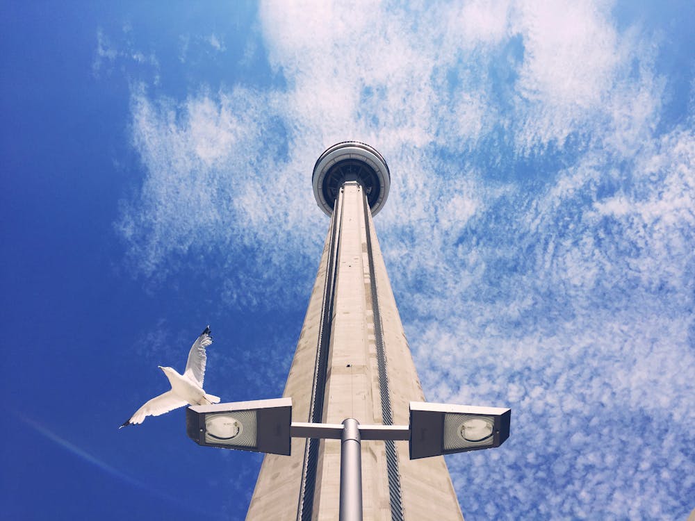 gratis High Angle Fotografie Van Gray Tower Stockfoto