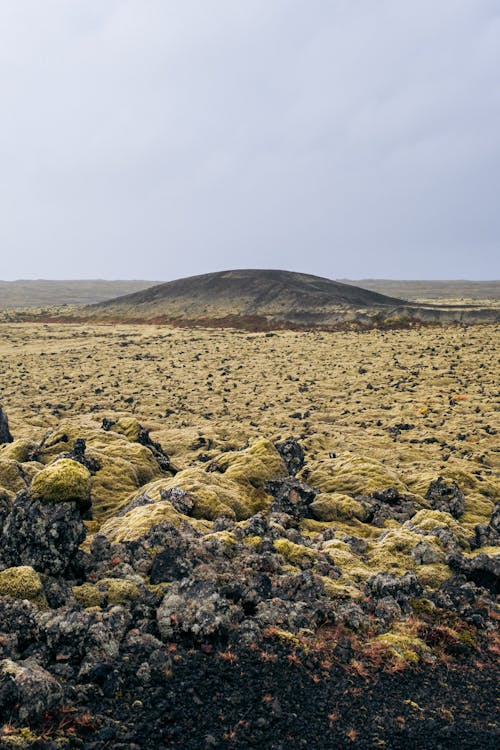 Fotos de stock gratuitas de campo de lava, Islandia, naturaleza