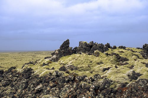 Volcanic Lava Rocks Covered with Moss