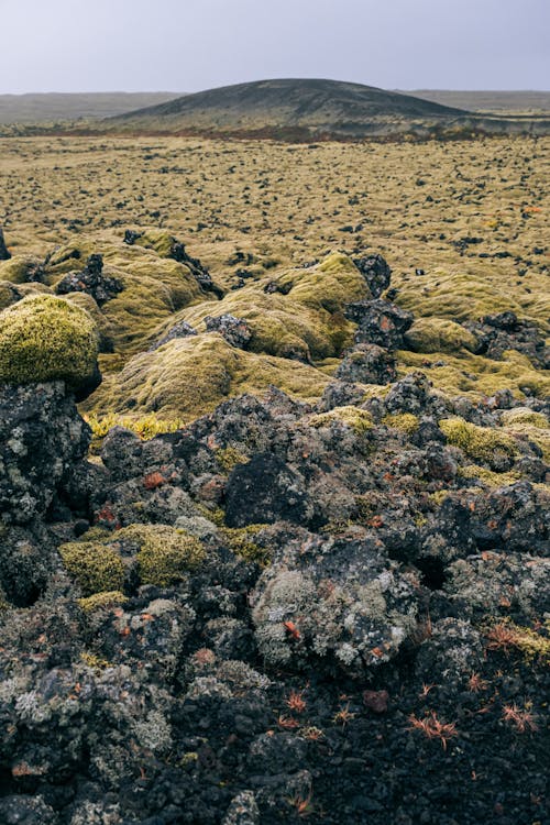 Foto stok gratis batu, batu lava, berbatu