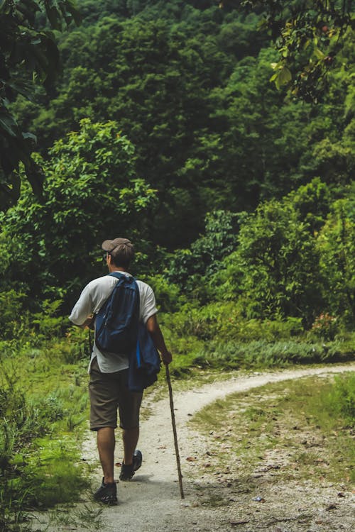 Man Walking on Trail