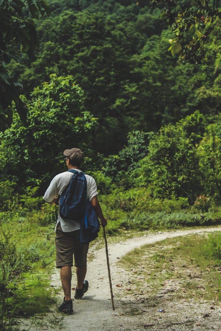 Man Walking On Trail