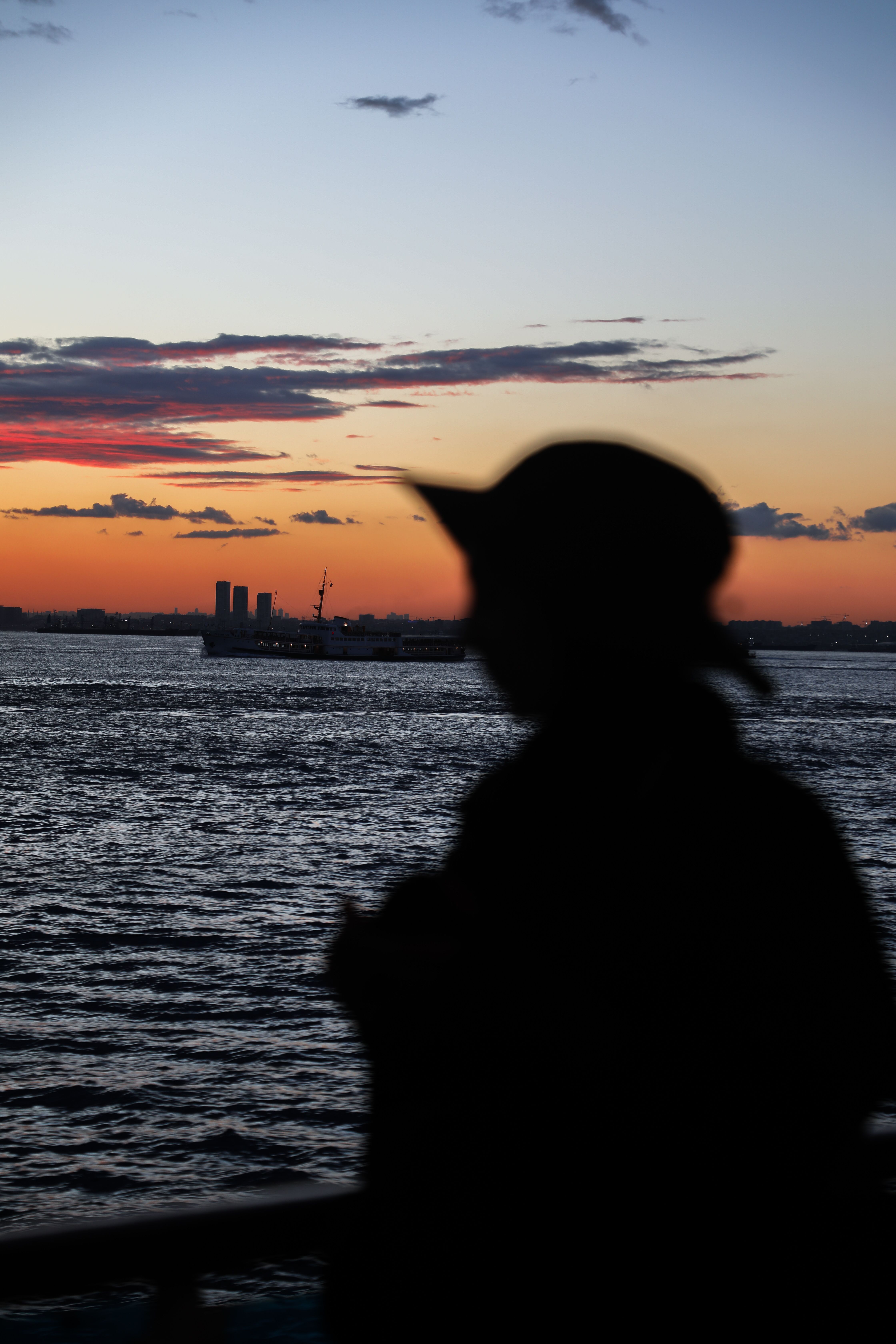 Silhouette of Person Standing Near the Ocean · Free Stock Photo