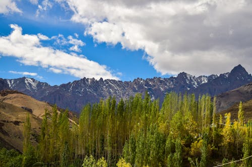 Gratuit Imagine de stoc gratuită din arbori, cer, munți Fotografie de stoc
