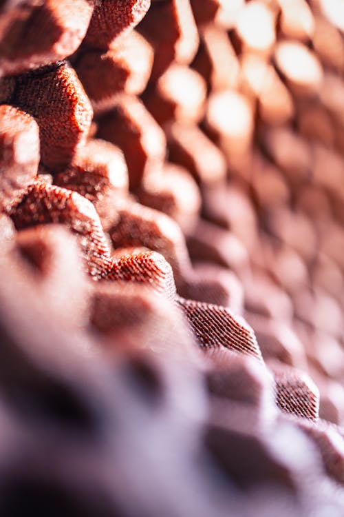 Close-up of the Surface Covered with Conical Beads