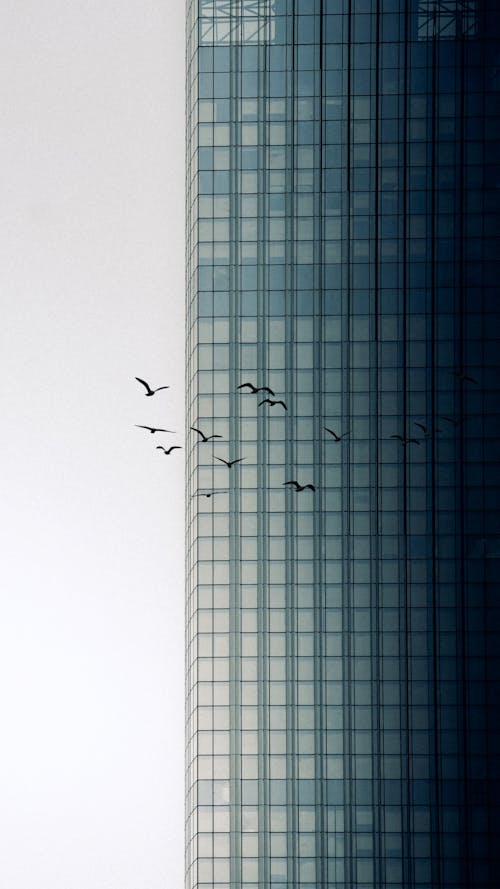 High Rise Building with Glass Windows 