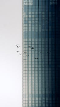 Contemporary skyscraper facade with glass windows and birds flying nearby.