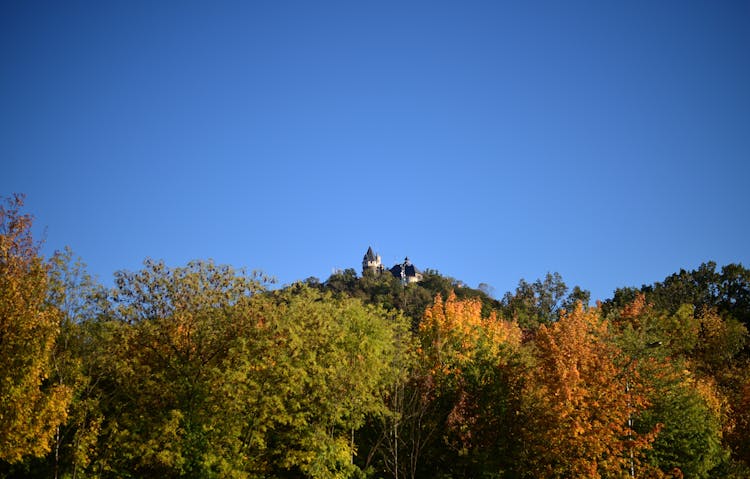 Castle On The Hilltop