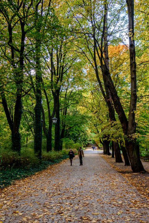 Free Scenic path through a vibrant autumn park with people walking under colorful trees. Stock Photo