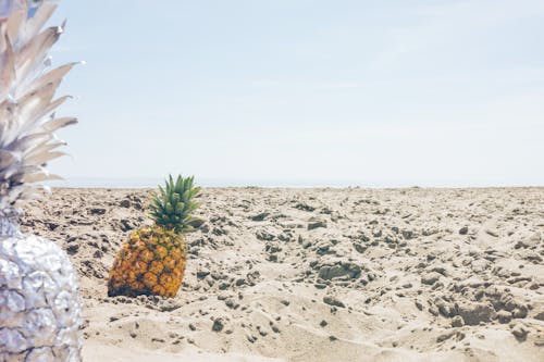 Free Two White and Yellow Pineapples on Brown Dirt Stock Photo