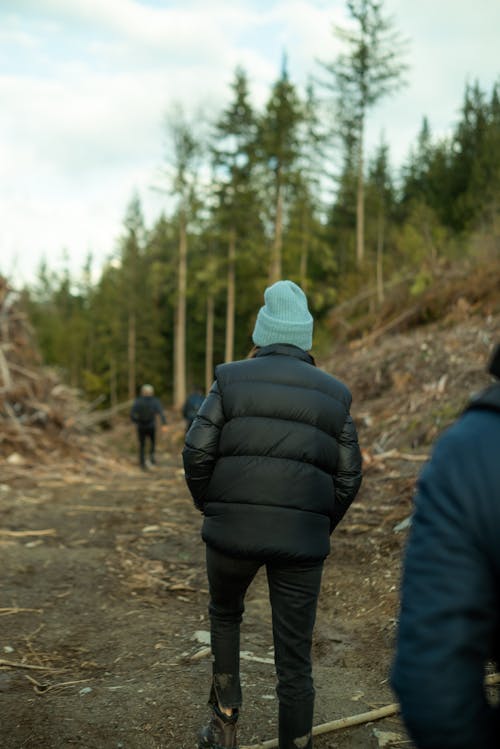 People on a Path by the Coniferous Trees 