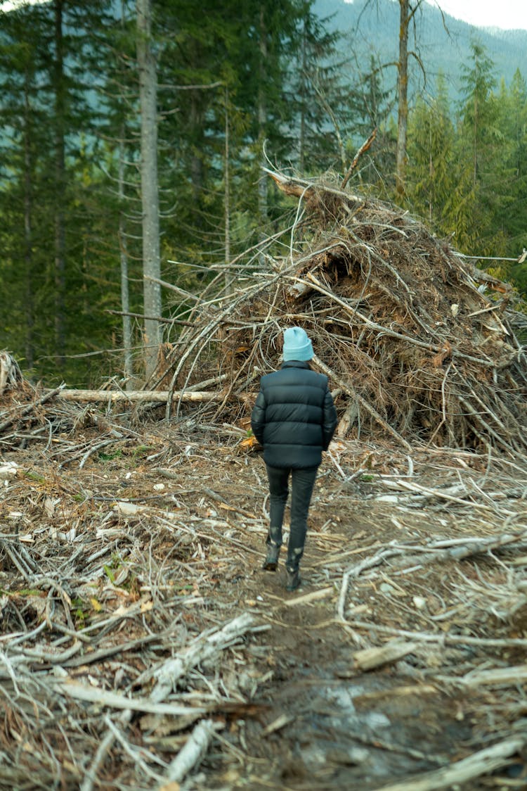 Walking Among The Slash Piles