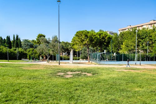 Passeggiando per il parco