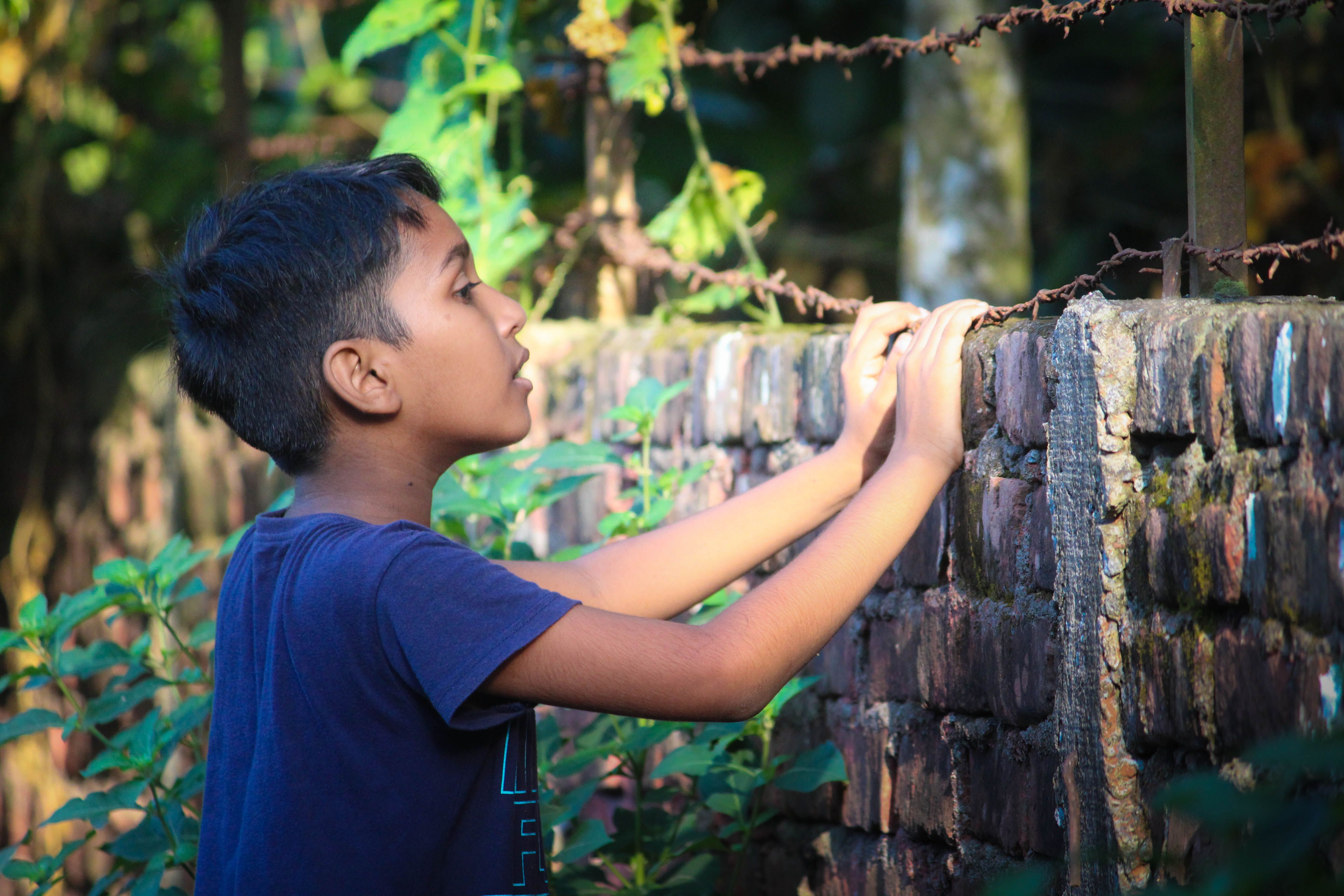 A young boy gazes intently at a barbed wire fence outdoors, surrounded by greenery.