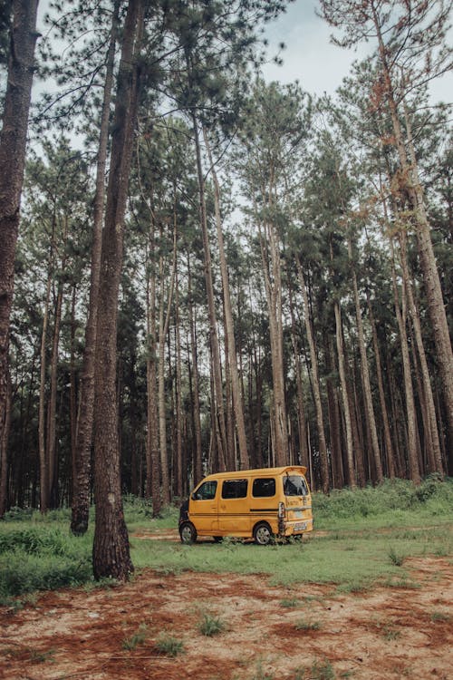 Yellow Minivan Parked in the Woods