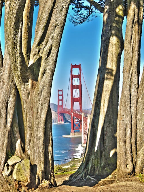 Darmowe zdjęcie z galerii z eksploracja, golden gate bridge, kalifornia