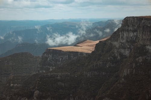 Základová fotografie zdarma na téma erodováno, krajina, les