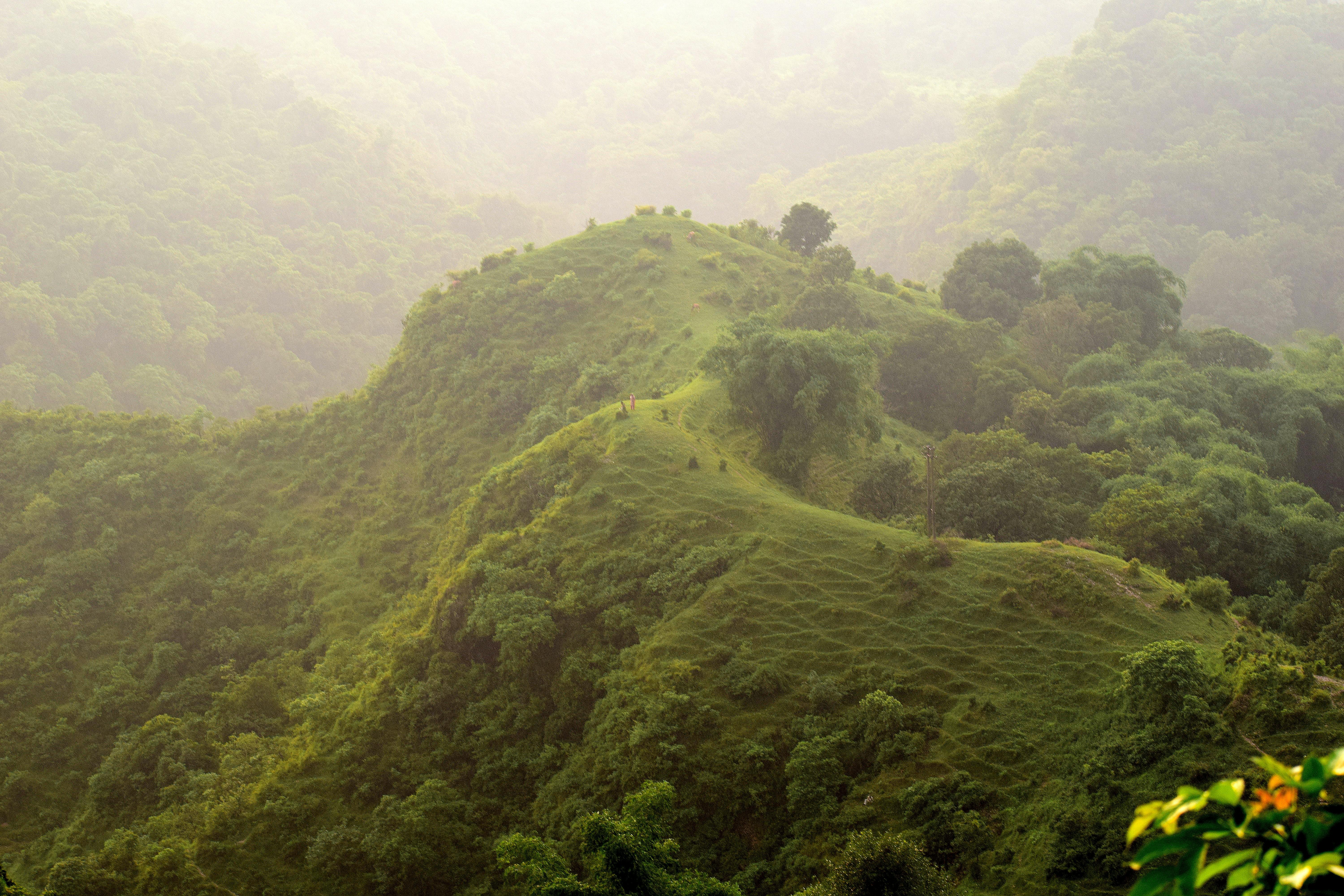 Free stock photo of #landscape #hills #green #trees #nature #grass