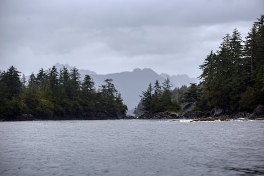 A serene forest lake surrounded by trees under a cloudy sky, creating a peaceful wilderness scene.