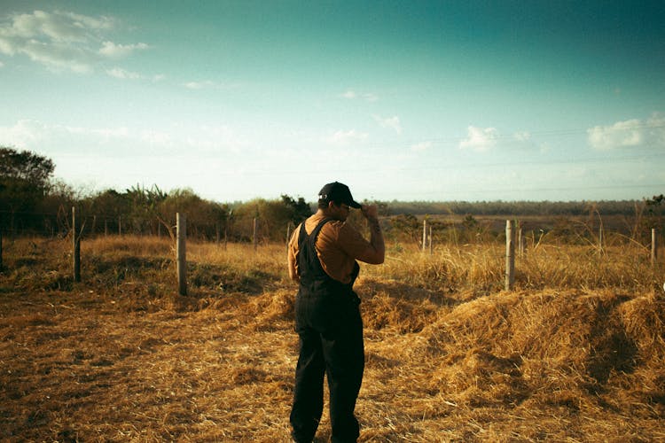 Farmer In Summer