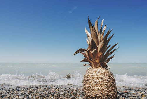 Brown Pineapple on Sand