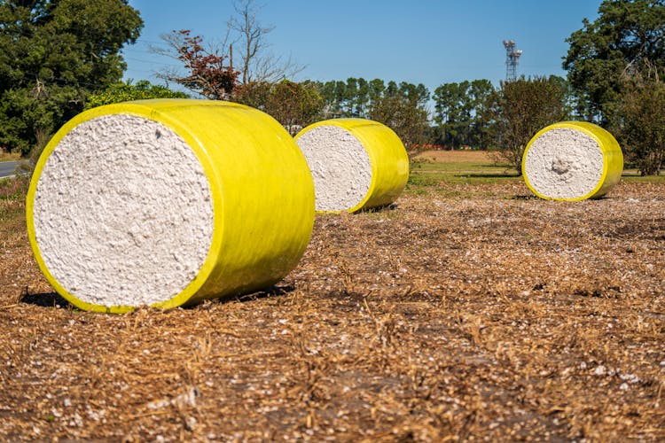 Round Bales Of Harvested Cotton Wrapped In Yellow Plastic In The Field