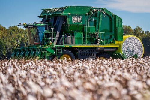 A Harvester in a Cotton Field