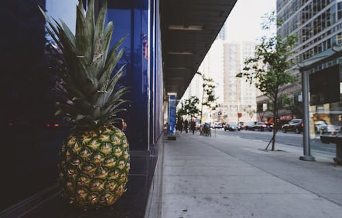 Základová fotografie zdarma na téma ananas, architektura, budovy