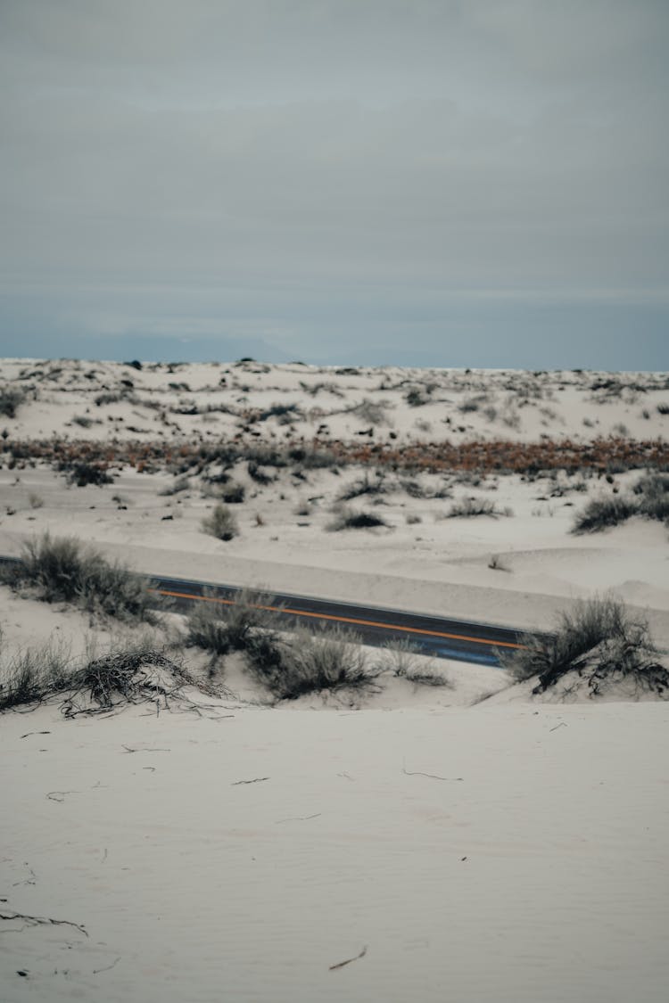 White Snow Covered Field