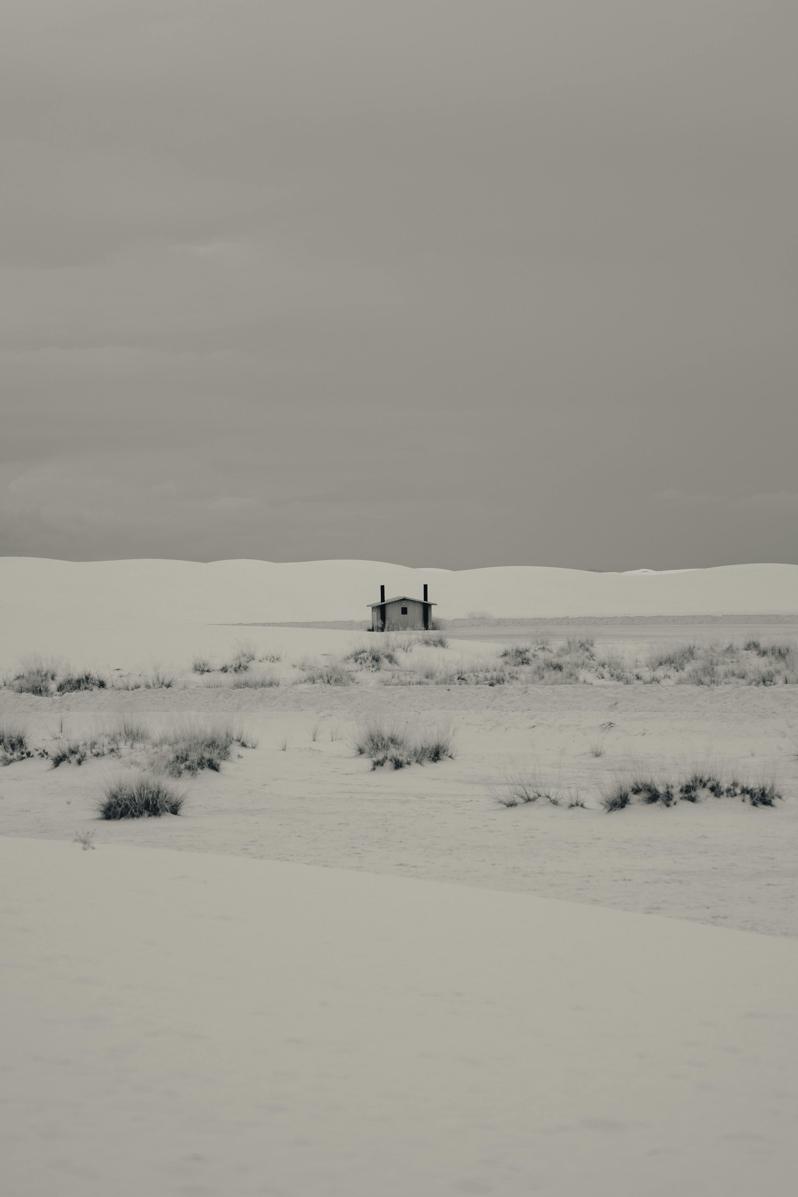 Miễn phí Ảnh lưu trữ miễn phí về ảm đạm, bạc, Bắc cực Ảnh lưu trữ