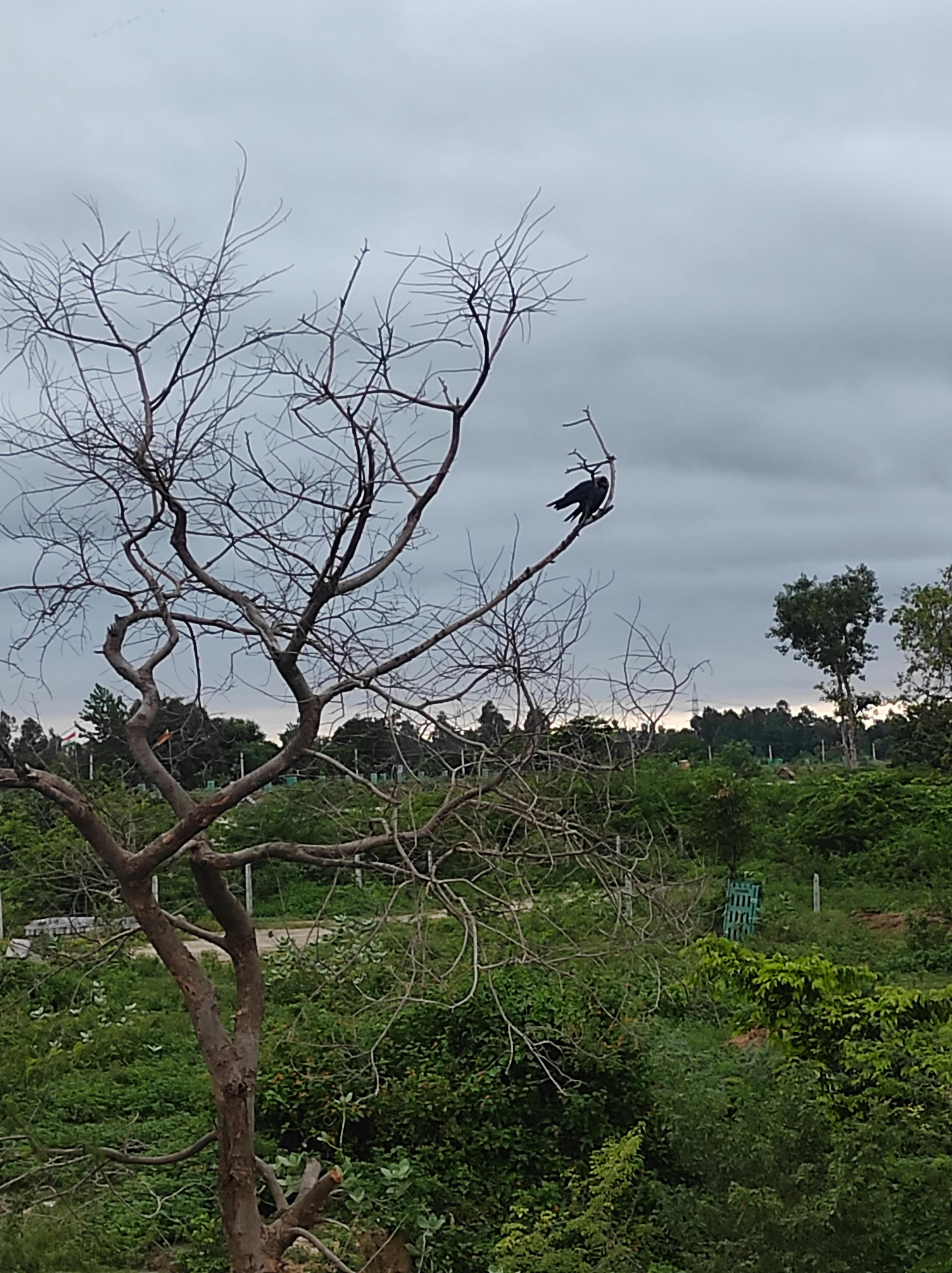 Saxena_ 14 Fotografie