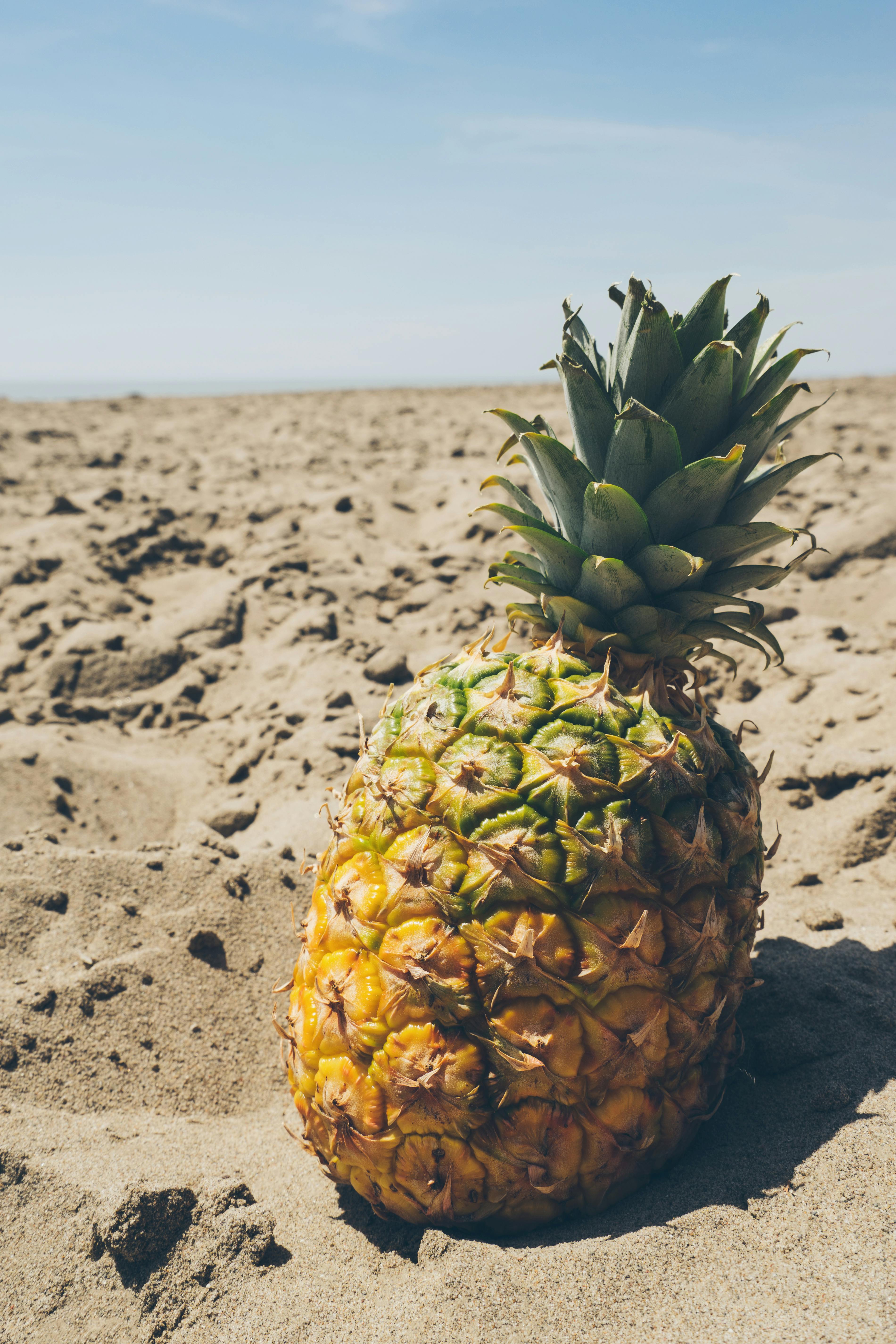 pineapple on sand