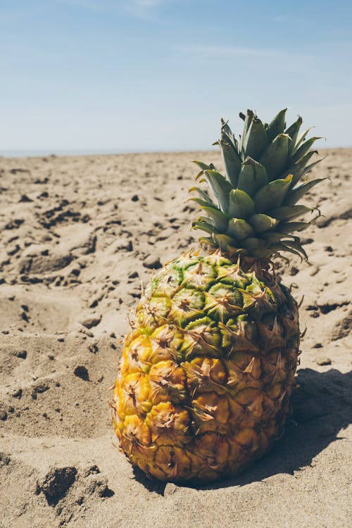 Free Pineapple on Sand Stock Photo